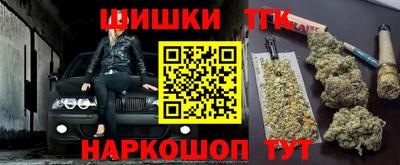 стафф Камышлов