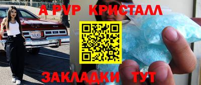 стафф Камышлов