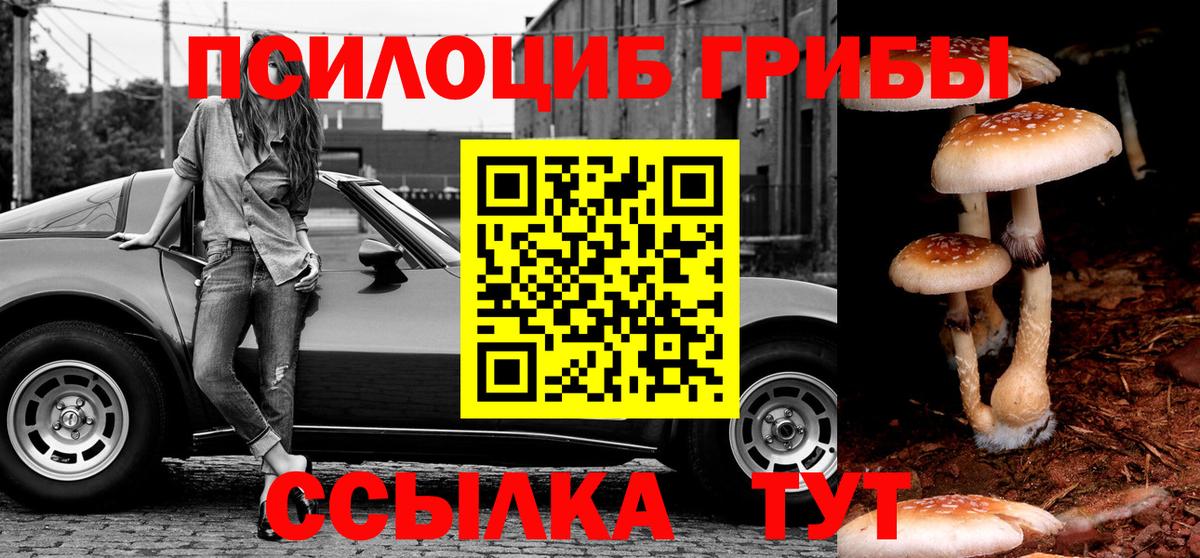 Галлюциногенные грибы мицелий  Вход с VPN  Красногорск 